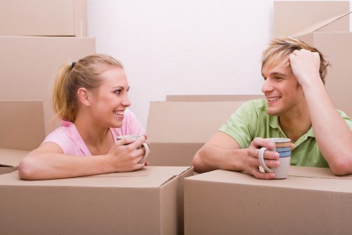 Professional removalists handling household items